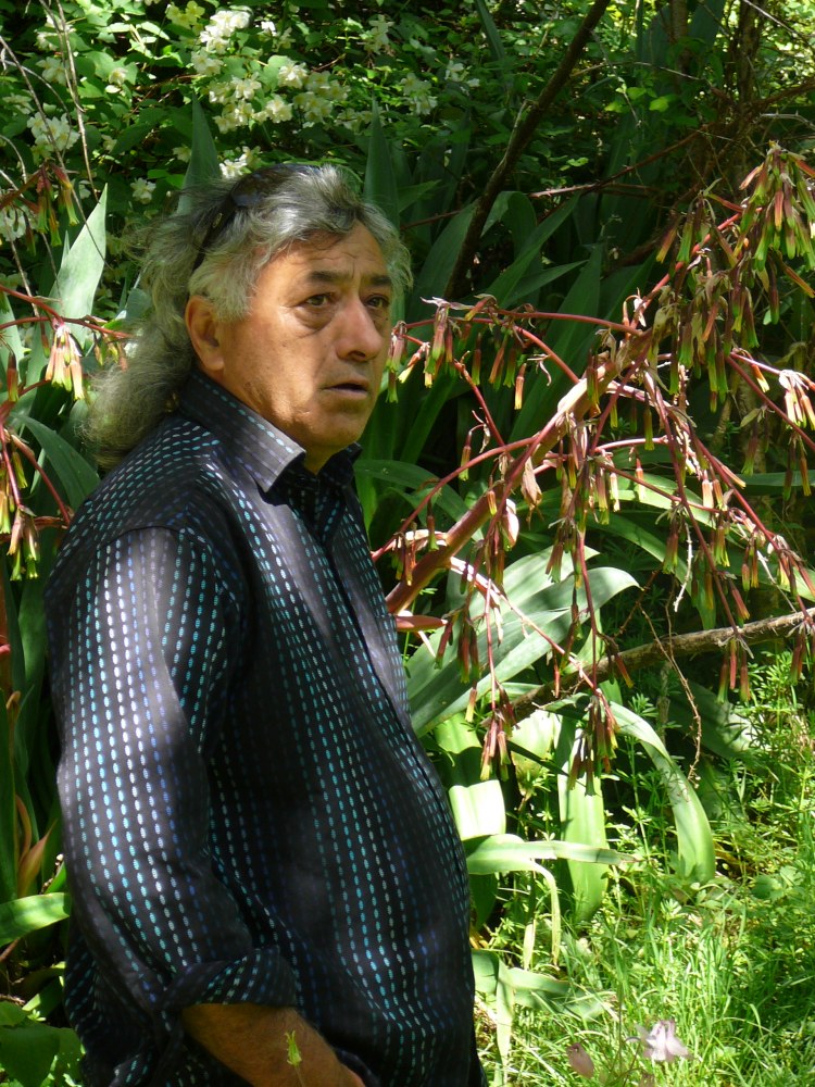 marias tangi waikaremoana 024